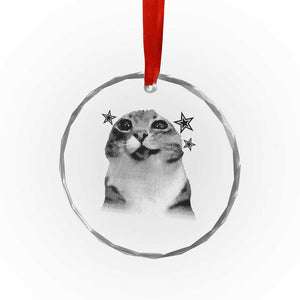 Funny Y2k Cat Meme Crystal Glass Ornament Vintage Retro Silly Cats Cats lover Gift TS10 Print Your Wear