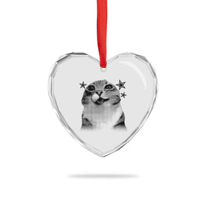 Funny Y2k Cat Meme Heart Crystal Glass Ornament Vintage Retro Silly Cats Cats lover Gift TS10 Print Your Wear