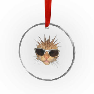 Funny Y2k Retro Cat Meme Crystal Glass Ornament Vintage Cat Edgy Retro 90s Streetwear TS10 Print Your Wear