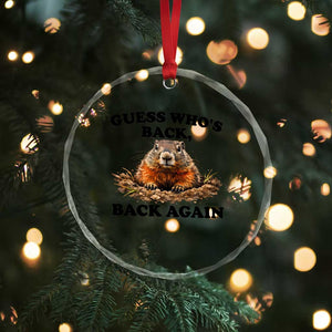 Groundhog Day Crystal Glass Ornament Funny Woodchuck Guess Whos Back TS10 Print Your Wear