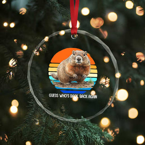 Groundhog Day Crystal Glass Ornament Retro Vintage Funny Woodchuck Guess Whos Back TS10 Print Your Wear