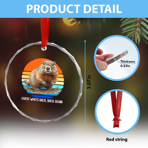 Groundhog Day Crystal Glass Ornament Retro Vintage Funny Woodchuck Guess Whos Back TS10 Print Your Wear