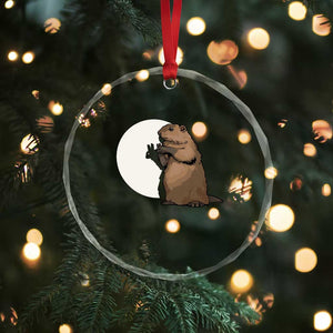 Groundhog Shadow Meteorlogy Crystal Glass Ornament Woodchuck Puppet Funny Gift TS02 Print Your Wear