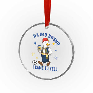 Hajmo Bosno I Came To Yell Crystal Glass Ornament Funny Bosnia Goose Game Day Gift