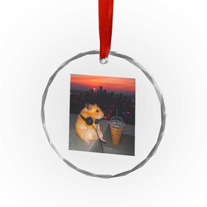Hamster Drinking Iced Coffee Crystal Glass Ornament Funny Animal Chill City Sunset Headphones TS14 Print Your Wear