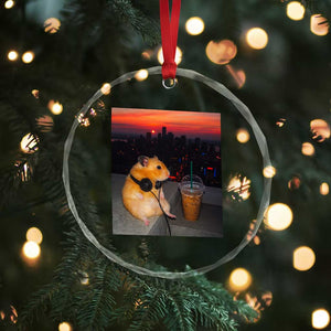 Hamster Drinking Iced Coffee Crystal Glass Ornament Funny Animal Chill City Sunset Headphones TS14 Print Your Wear