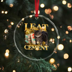 I Eat Cement Cat Meme Crystal Glass Ornament Funny Internet Memes Bootleg Cursed Cat Lovers TS10 Print Your Wear