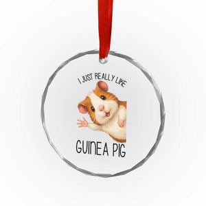 I Just Really Like Guinea Pigs Crystal Glass Ornament Funny Cavy Lover TS12 Print Your Wear