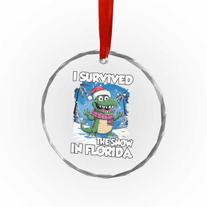 I Survived The Snow In Florida Crystal Glass Ornament Funny Crocodile TS02 Print Your Wear