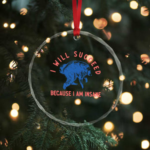 I Will Succeed Because I Am Insane Crystal Glass Ornament Funny Jimothy Raccoon Meme