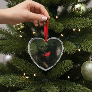 I Will Succeed Because I Am Insane Heart Crystal Glass Ornament Funny Frog Sarcastic Humor