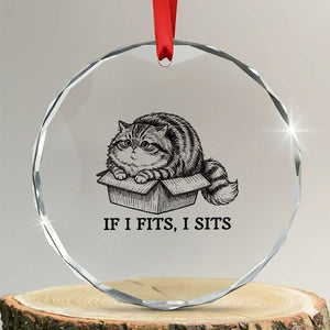 If I Fits I Sits Crystal Glass Ornament Chubby Kitty Funny Cat Lover Gift TS12 Transparent Glass 3'' Circle Print Your Wear