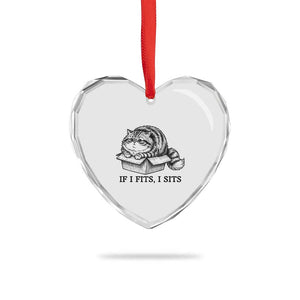 If I Fits I Sits Heart Crystal Glass Ornament Chubby Kitty Funny Cat Lover Gift TS12 Print Your Wear