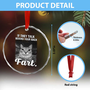 If They Talk Behind Your Back Fart Crystal Glass Ornament Cat Meme Funny Oddly Specific TS10 Print Your Wear