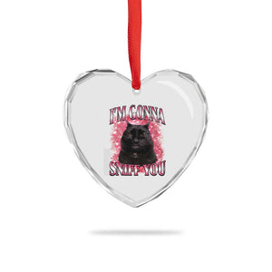 I'm Gonna Sniff You Heart Crystal Glass Ornament Funny Black Cat Meme TS14 Print Your Wear