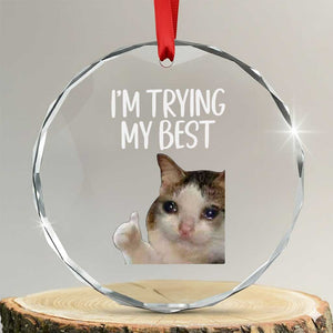 Im Trying My Best Funny Crying Cat Meme Crystal Glass Ornament TS10 Transparent Glass 3'' Circle Print Your Wear