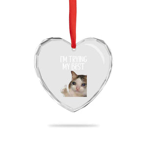 Im Trying My Best Funny Crying Cat Meme Heart Crystal Glass Ornament TS10 Print Your Wear