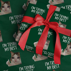 Im Trying My Best Funny Crying Cat Meme Wrapping Paper Roll TS10 Green Print Your Wear