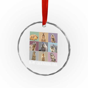 In My Groundhog Era Crystal Glass Ornament Funny Woodchuck TS02 Print Your Wear