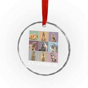 In My Groundhog Era Crystal Glass Ornament Funny Woodchuck TS02 Print Your Wear