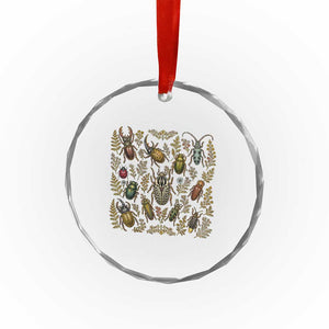 Insect Bug Collection Collector Entomologist Entomology Crystal Glass Ornament