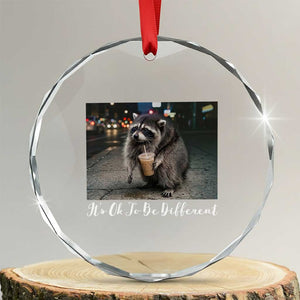 Its Ok To Be Different Jimothy Raccoon Crystal Glass Ornament Funny Short Spine Wildlife