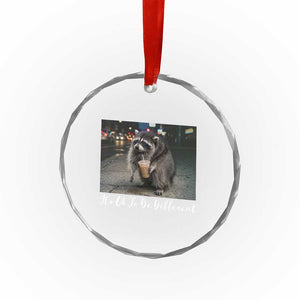 Its Ok To Be Different Jimothy Raccoon Crystal Glass Ornament Funny Short Spine Wildlife