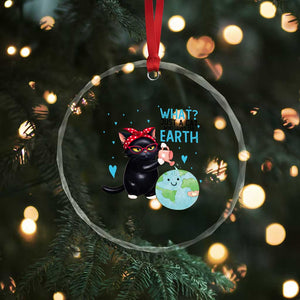 Just A Cat Who Loves The Earth Crystal Glass Ornament Earth Day Cat Lover Gift TS12 Print Your Wear