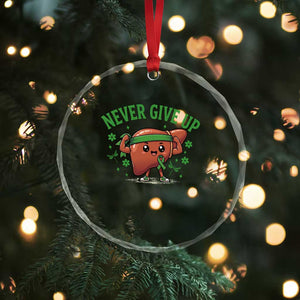 Liver Cancer Awareness Transplant Support Crystal Glass Ornament Never Give Up Nurse Gift