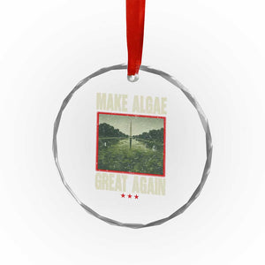 Make Algae Great Again Funny DC Slamp Slime Parody Crystal Glass Ornament Washington Monument Reflecting Pool Vintage Photo