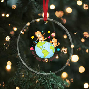 Make Everyday Earth Day Crystal Glass Ornament Funny Cat Lover Gift TS12 Print Your Wear