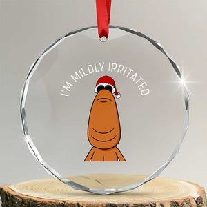 Marcus The Worm Christmas Meme Crystal Glass Ornament I Am Mildly Irritated TS14 Transparent Glass 3'' Circle Print Your Wear