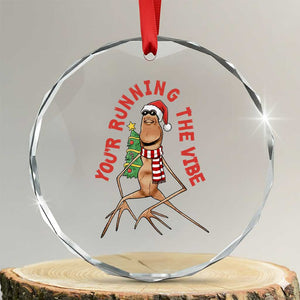 Marcus The Worm Christmas Meme Crystal Glass Ornament You Are Running The Vibe TS14 Transparent Glass 3'' Circle Print Your Wear