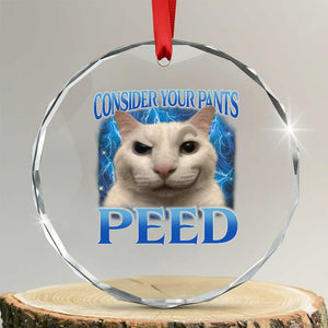 Meme Cat Crystal Glass Ornament Funny Weird Humor Consider Your Pants Peed TS10 Transparent Glass 3'' Circle Print Your Wear