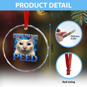 Meme Cat Crystal Glass Ornament Funny Weird Humor Consider Your Pants Peed TS10 Print Your Wear