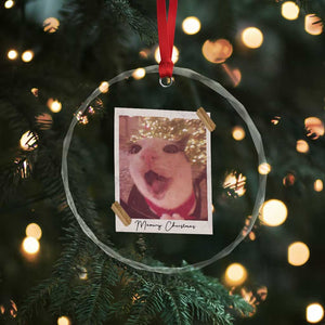Meowy Christmas Crystal Glass Ornament Funny Cat Lovers Xmas Vintage Photo TS10 Print Your Wear