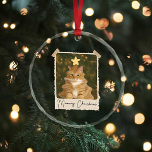 Meowy Christmas Crystal Glass Ornament Funny Cat Xmas Tree Retro Vintage Photo TS10 Print Your Wear