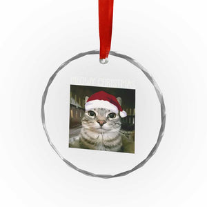 Meowy Christmas Crystal Glass Ornament Xmas Silly Staring Cat Meme Santa Hat TS10 Print Your Wear