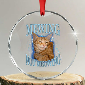 Mewing Not Meowing Crystal Glass Ornament Funny Cat Meme TS14 Transparent Glass 3'' Circle Print Your Wear