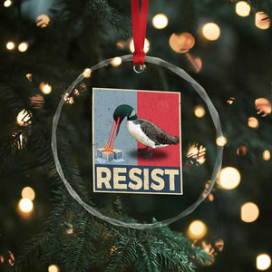 Minnesota Loon Resist Crystal Glass Ornament Loon Bird Laser Ice Cube Poster Graphic TS11 Print Your Wear