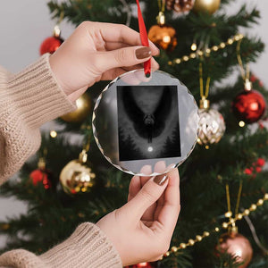 Mothman Crystal Glass Ornament Horror Poster Halloween Cryptid Lover TS10 Print Your Wear