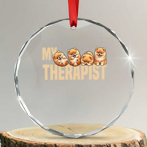 My Therapist Is My Dog Crystal Glass Ornament Cute Pomeranian Lover Meme TS12 Transparent Glass 3'' Circle Print Your Wear