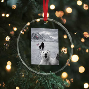 Nihilist Penguin Trump Hiking Mountains Crystal Glass Ornament Funny Polar Bear Selfie But Why TS14 Print Your Wear