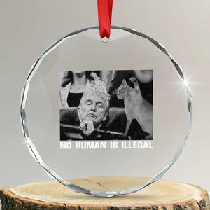 No Human Is Illegal Crystal Glass Ornament Funny Cat Anti ICE Meme TS14 Transparent Glass 3'' Circle Print Your Wear