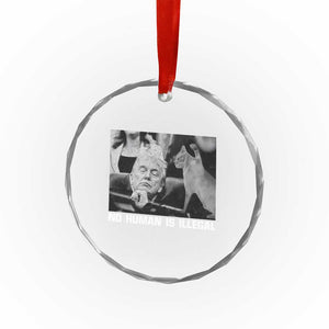No Human Is Illegal Crystal Glass Ornament Funny Cat Anti ICE Meme TS14 Print Your Wear