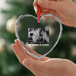 No Human Is Illegal Heart Crystal Glass Ornament Funny Cat Anti ICE Meme TS14 Print Your Wear