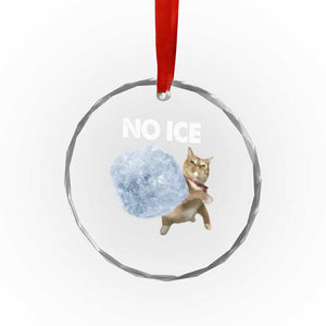 No Ice Crystal Glass Ornament Funny Cat Meme Subtle FDT Political Satire TS10 Print Your Wear