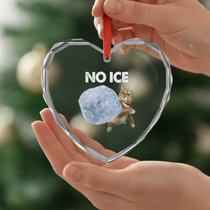 No Ice Heart Crystal Glass Ornament Funny Cat Meme Subtle FDT Political Satire TS10 Print Your Wear