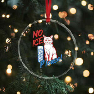 No Ice Please Angry Cat Graphic Crystal Glass Ornament Subtle Against Ice Protest Political Resistance TS02 Print Your Wear