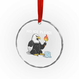 No Ice Please Crystal Glass Ornament Funny American Eagle Social Justice Gift TS12 Print Your Wear